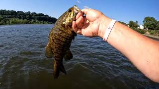 Bass fishing the Allegheny River [upl. by Selokcin]