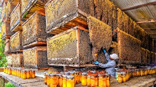 How Biggets Bee Farms Raise Billions Bees And Process Millions Tons Of Honey  Honey In Factory [upl. by Ainnos]