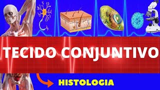 TECIDO CONJUNTIVO  HISTOLOGIA ENSINO SUPERIOR  ESTRUTURA CARACTERÃSTICAS E COMPOSIÃ‡ÃƒO [upl. by Eirual]