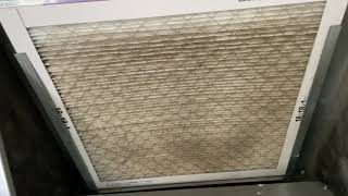 Do Air Filters Actually Make a Difference in Your Home [upl. by Ellenyl]