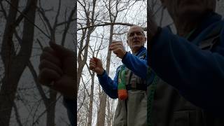 We Found Gold Using Only Dowsing Rods [upl. by Wilbert487]