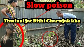 Thwinai Jat Bithi Charwjak kha Slow poison Ruti Bai Paneer Cha phuru 100 Guarantee Rupali DB [upl. by Yerffej949]