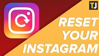 How to Reset Your Instagram Account [upl. by Aicilana]