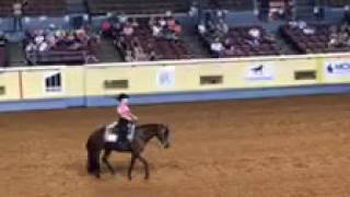 AQHA World Show Horsemanship L3 [upl. by Dib]