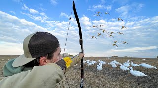 Snow GOOSE HUNTING Using a RECURVE BOW 160 BIRD HUNT [upl. by Zaremski]