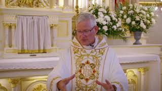 Holy Mass from Relevant Radio  Friday  October 18 2024 [upl. by Eegnat]