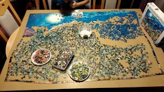 Ravensburger puzzle 5000  Leben im Korallenriff  Time lapse [upl. by Simone418]