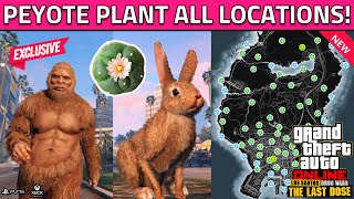 All Peyote Plant Locations in GTA 5 Online 2023 How To Turn Into AnimalBirdBigfoot Peyote Plant [upl. by Eitsrik348]