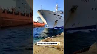 Cruise Ship Bone Yard ships ocean boats boneyard interesting viralposts yacht cruise [upl. by Maible]