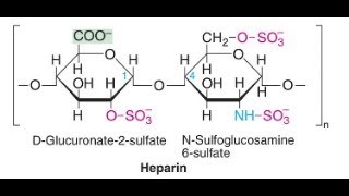 Heparin blood anticoagulant Blood Thinner made from Dog Liver [upl. by Aneehsirk]