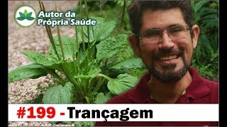 Autor da Própria Saúde  Trançagem antibiótico antiinflamatório hipertensão diabetes câncer [upl. by Tik]