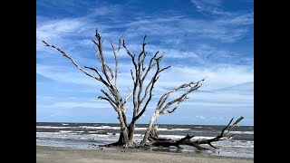 Botany Bay the Boneyard Beach [upl. by Ynnohj841]