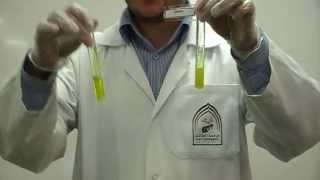 Picric Acids test Part 2 to differentiate between Gelatin amp peptone [upl. by Aihsemek]