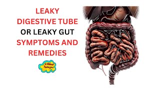 Leaky Digestive Tube or Gut  Symptoms and Remedies Talk 32 [upl. by Chaves619]