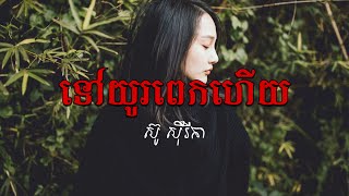 ទៅយូរពេកហើយTov yu pek hery By Su Sirika Khmer Song [upl. by Morril]