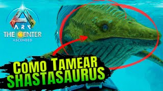 Como TAMEAR A Tu SHASTASAURUS Y Sus HABILIDADES ARK ASCENDED 🦕 [upl. by Moitoso330]