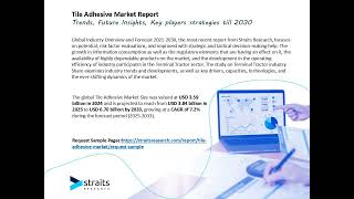 Tile Adhesive Market video [upl. by Ambros]