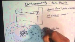 Electronegativity and bond polarity [upl. by Condon435]