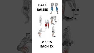 Calf Raises Workout for Calf muscles [upl. by Aryt]