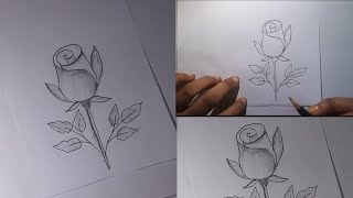 Rose flower drawing technique  Painting [upl. by Elletsirhc]