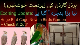 Assalam O Alaikum quotBirds Garden New Huge Cage Added A Stunning Masterpiece of Design and Beautyquot [upl. by Anaed]