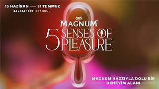 Magnum 5 Senses Of Pleasure [upl. by Duval440]