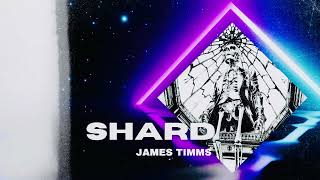 SHARD  JAMES TIMMS [upl. by Dulci]