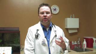 Cat Care Fleas amp Parasites  What Medication Is Used to DeWorm a Cat [upl. by Rexana]