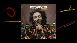 Exodus – Bob Marley and The Chineke Orchestra Visualizer [upl. by Hedelman]