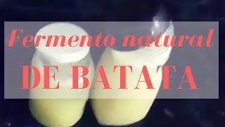 COMO FAZER FERMENTO NATURAL DE BATATA [upl. by Kere]