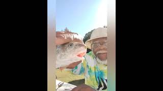 Catch Clean and Cook  Chesapeake Bay Fish Kingfish Whiting [upl. by Kresic]