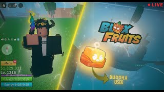 🔴 Roblox  Blox Fruits Second Sea Level Farming  Live Stream [upl. by Jarrett]