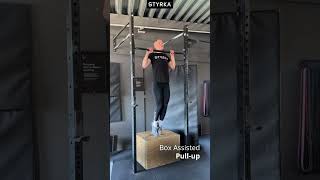 Box Assisted Pullup [upl. by Wisnicki102]