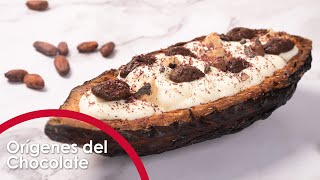 ORÍGENES DEL CHOCOLATE  Especialistas en Postres 🍰 [upl. by Nuahs243]