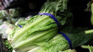 Officials trace E coli to lettuce from California [upl. by Idahs201]