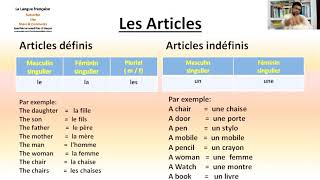 French Articles  Les Articles  French Definite amp Indefinite Articles Part 9 [upl. by Yrak730]