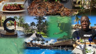 Catalonia Riviera Maya amp Yucatan Beach The Ultimate 2024 Guide [upl. by Gnohp363]