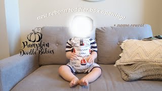 New Reborn Toddler Box Opening  Sophias Reborns [upl. by Little]