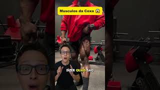 Músculos da Coxa 😱medicina medico academia treino musculação musculacao anatomia enfermagem [upl. by Sadnak4]