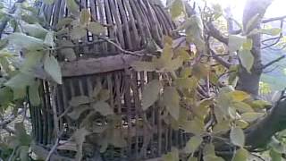 kawe dang xosh mp4 [upl. by Henryson]