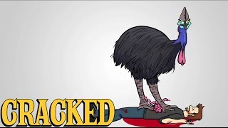 Why the Cassowary Is the Most Terrifying Animal Ever [upl. by Roscoe]