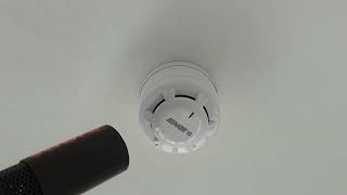 Testing EMS Firecell Optical Smoke Detector [upl. by Aihsrop361]