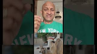 ఆవును ఎందుకు ప్రేమించాలి  Why Life Linked With Cow [upl. by Anertac]