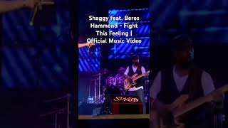 Shaggy feat Beres Hammond  Fight This Feeling  Official Music Video [upl. by Ecirtak]