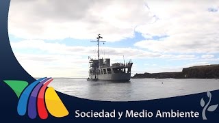 Revillagigedo la isla habitada por marinos  Sociedad [upl. by Leahcim588]