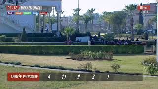 Live Hippodrome « MEKNES »  Courses du « 11012024 » [upl. by Nosmas]