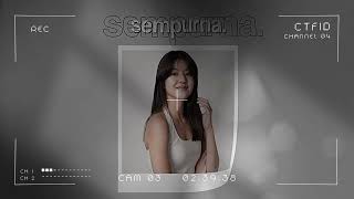 Sempurna  Typography Alight Motion Preset [upl. by Icaj]