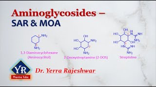 Aminoglycosides  SAR amp MOA  sar of Aminoglycosides  moa of Aminoglycosides  YR Pharma Tube [upl. by Aihsenal405]