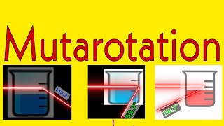 Mutarotation in biochemistry ll Mechanism of mutarotation in biochemistry II Process of mutarotation [upl. by Ledua]