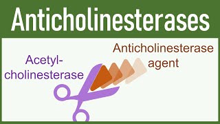 Anticholinesterase Agents Organophosphates amp Carbamates [upl. by Layne879]